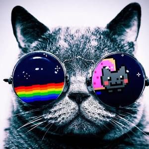 Meet your Posher, Mary claire